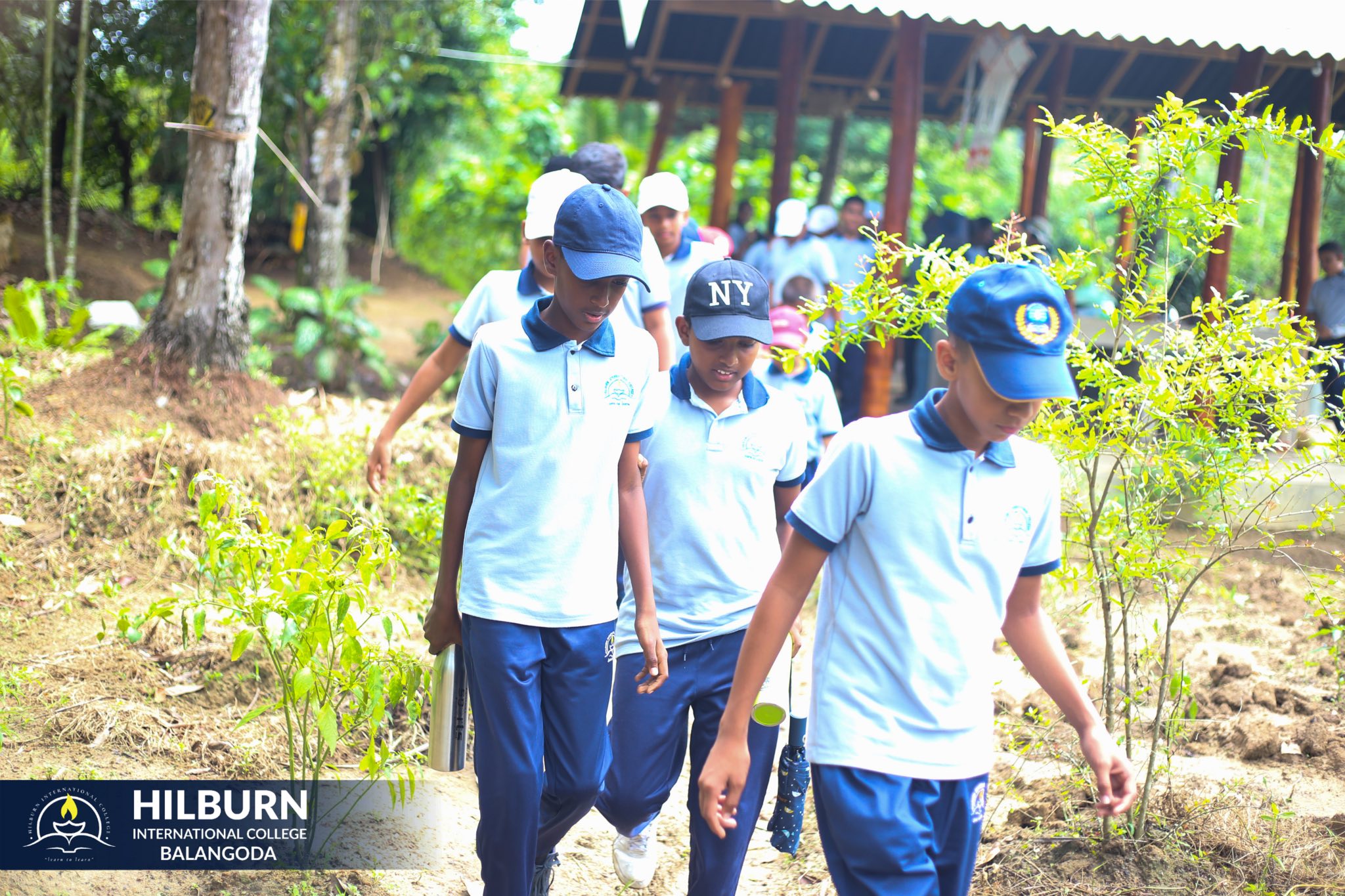 A Day at Midigama Fruit Farm