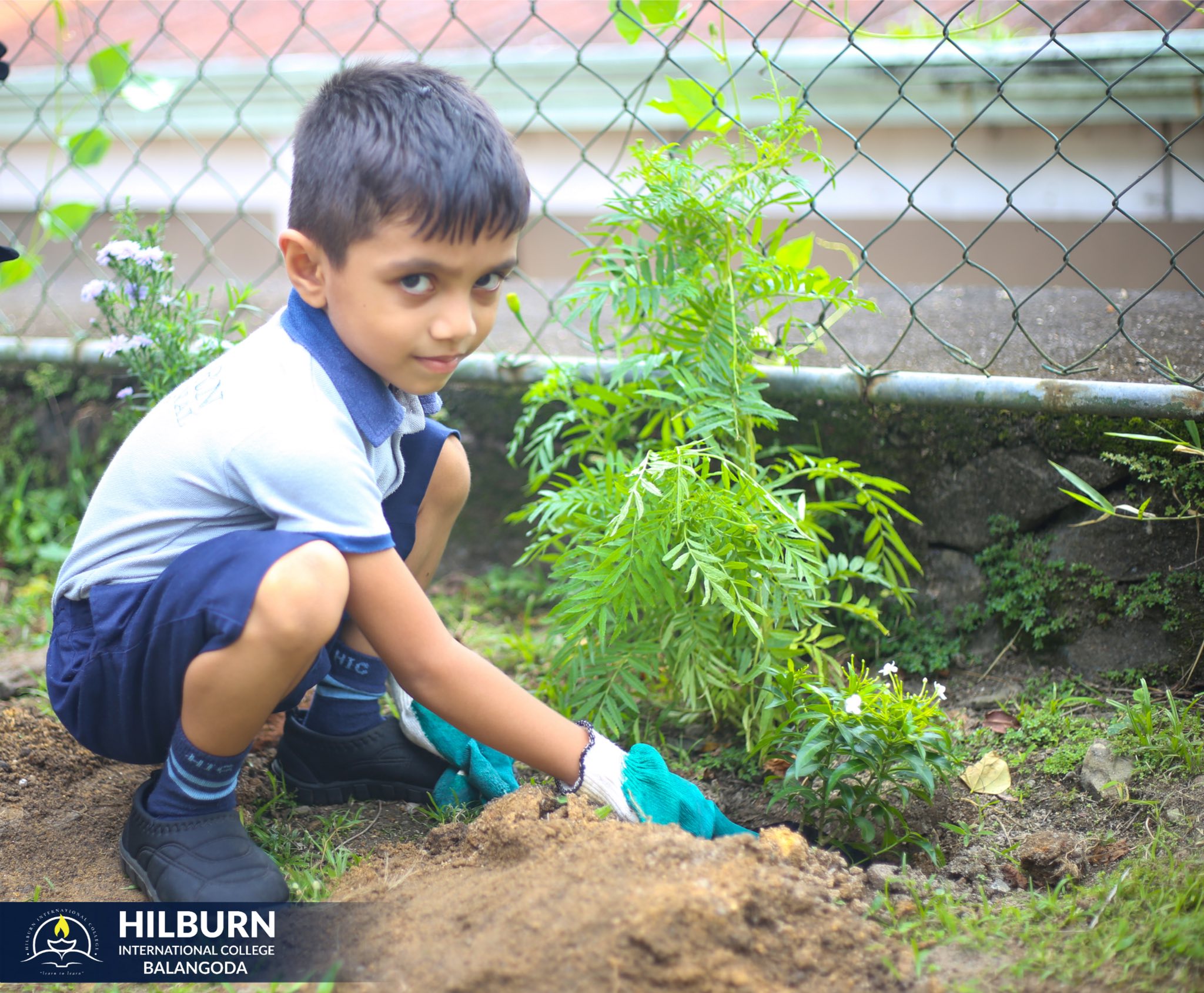 Gardening Day