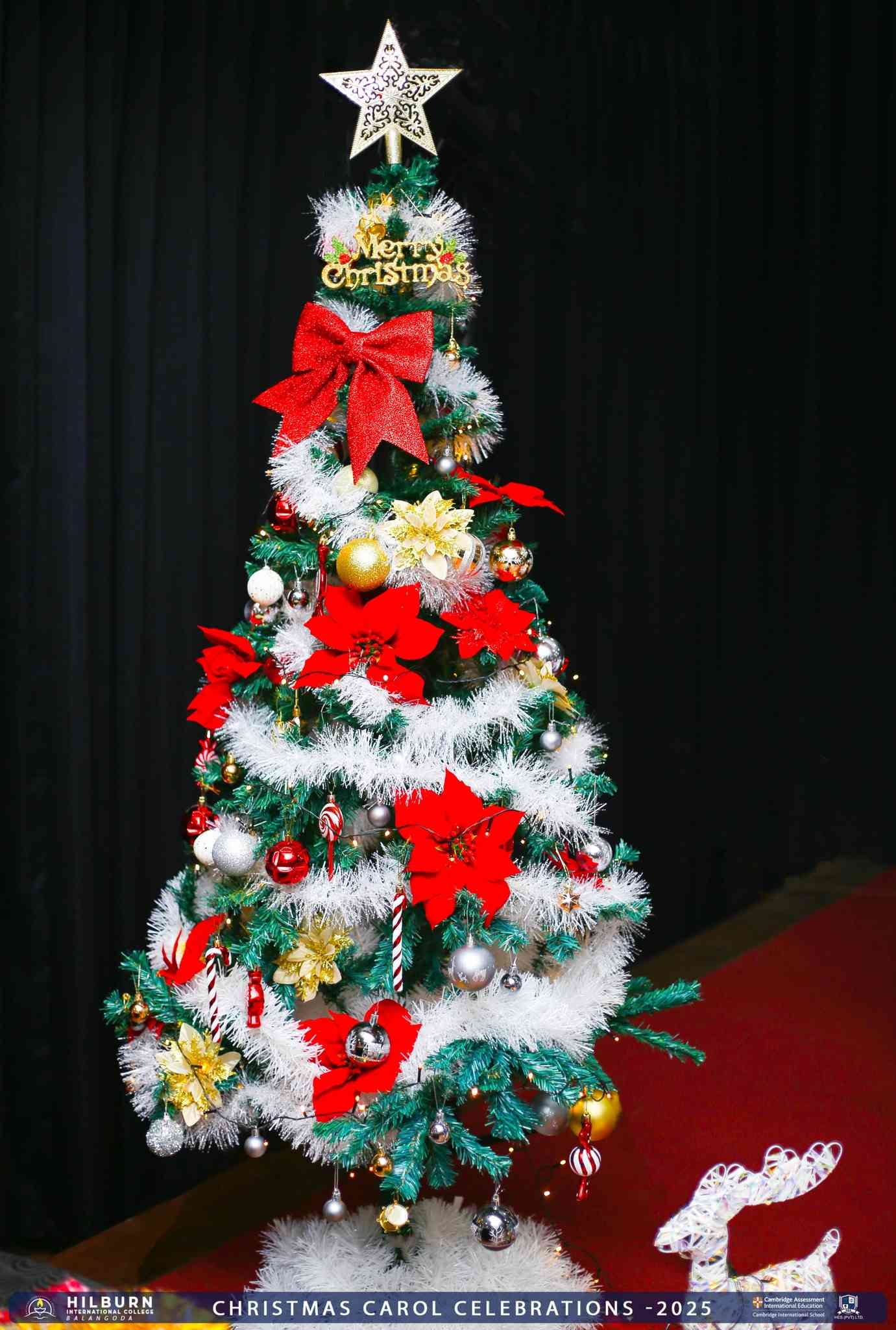 Christmas Carol 2025