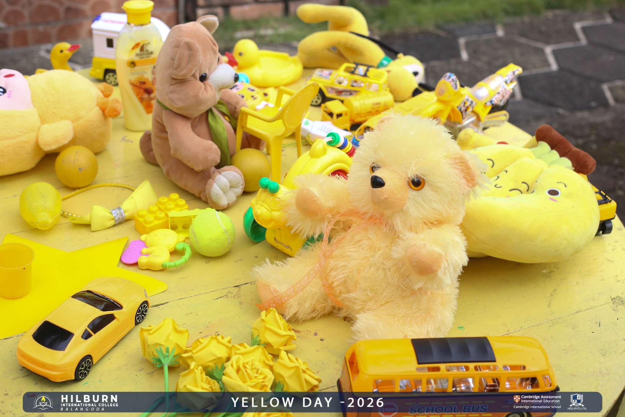 Yellow Day Celebration 2026