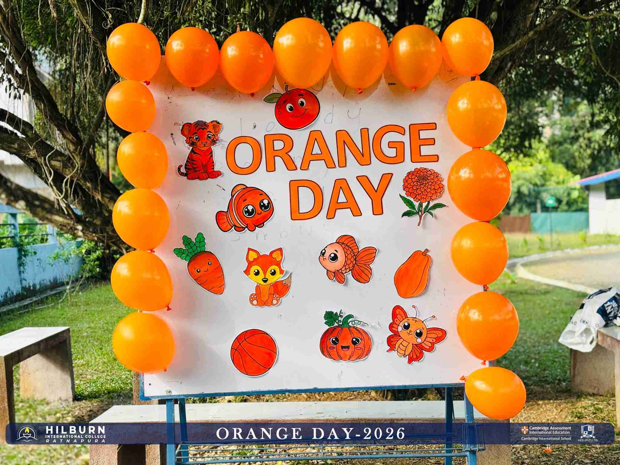 Orange Day Celebration 2026