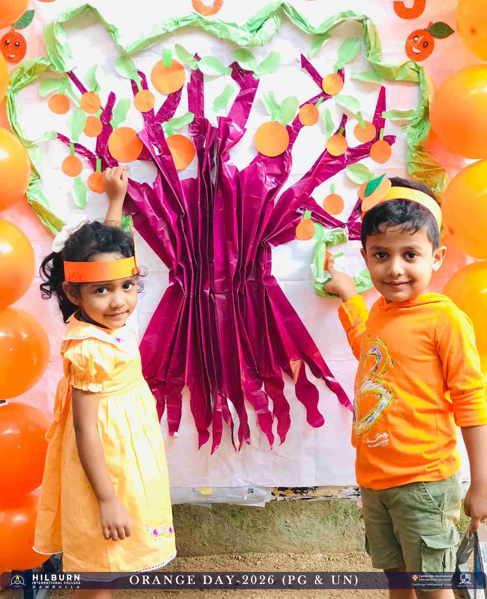 Orange Day Celebration 2026