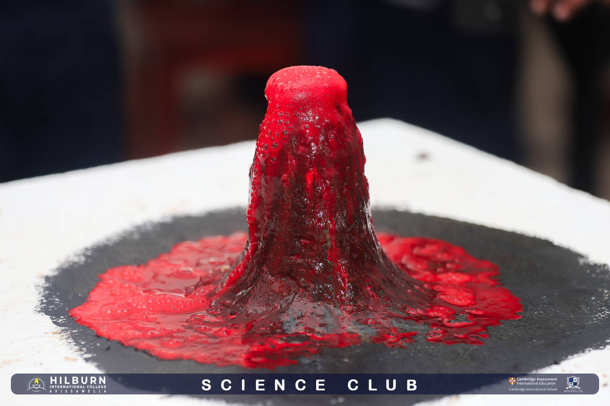 Science Club sessions