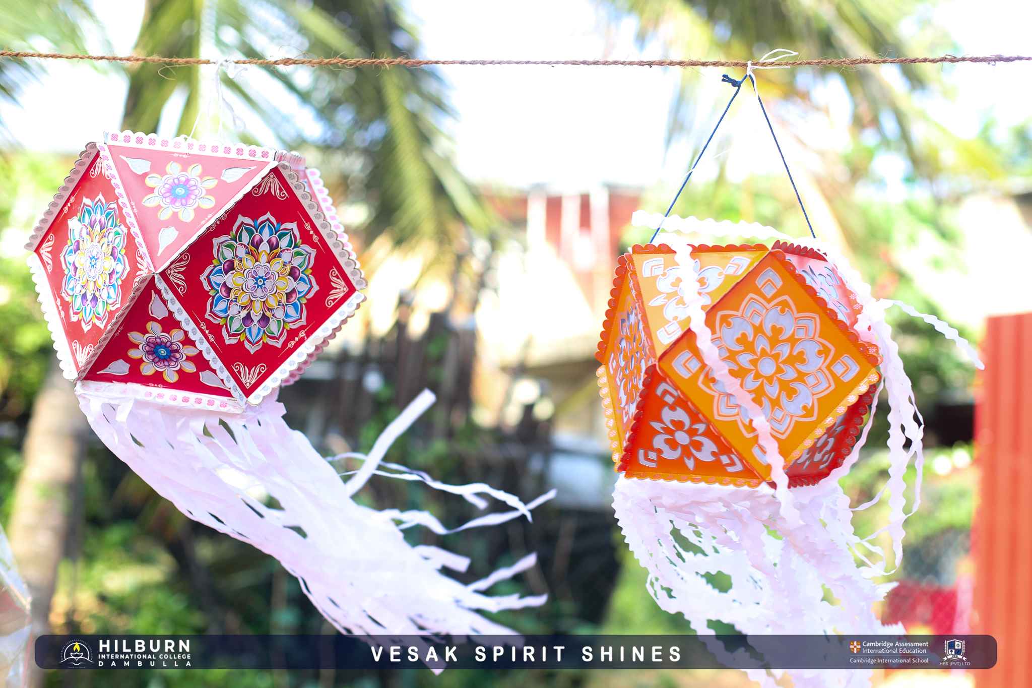 Vesak Spirit Shines