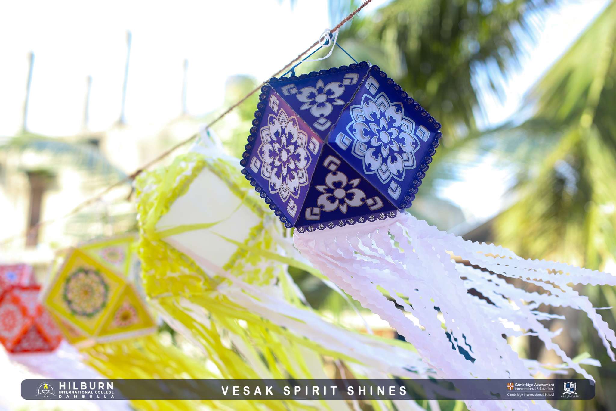 Vesak Spirit Shines