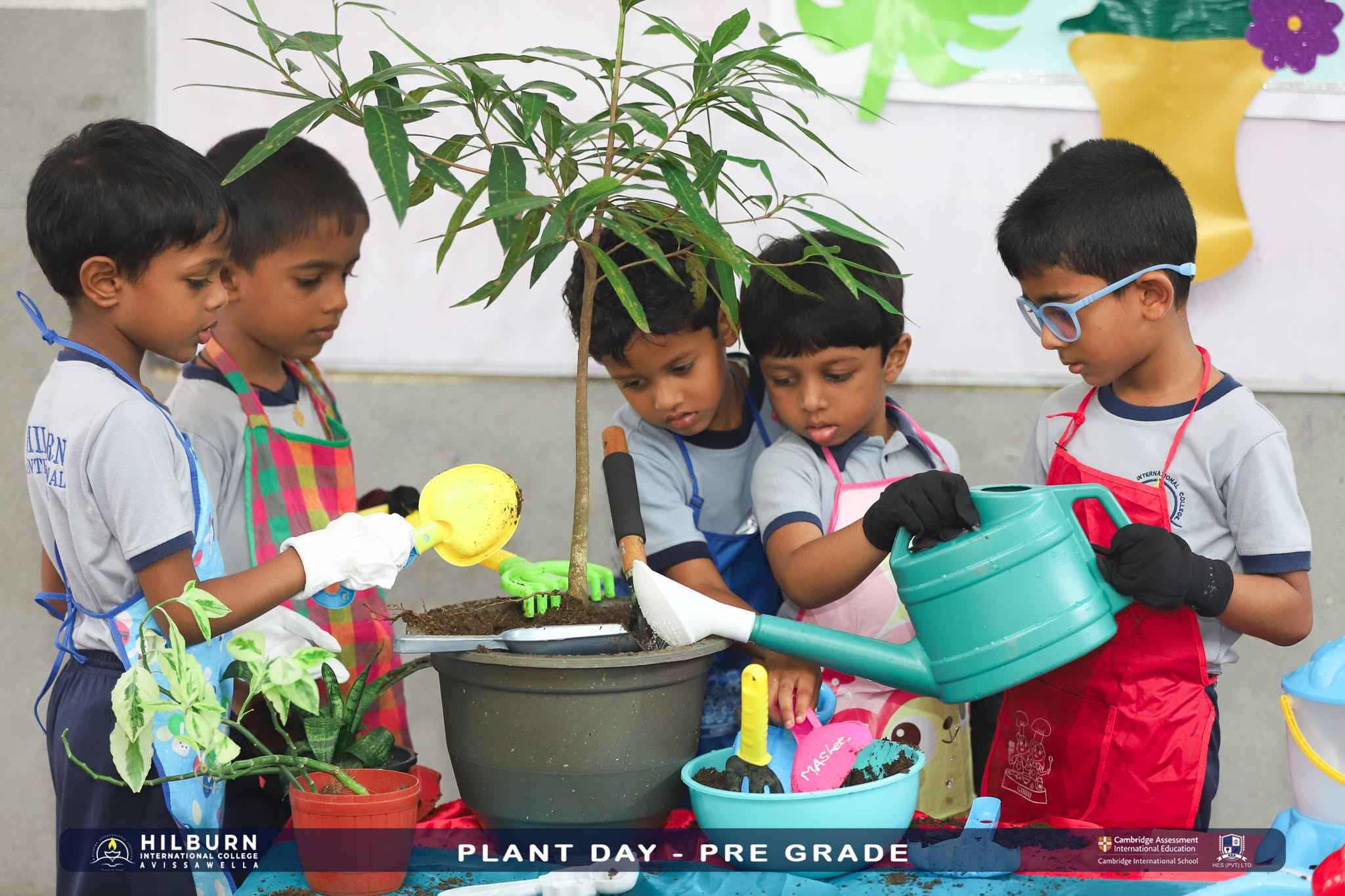 Plant Day –  Pre Grade
