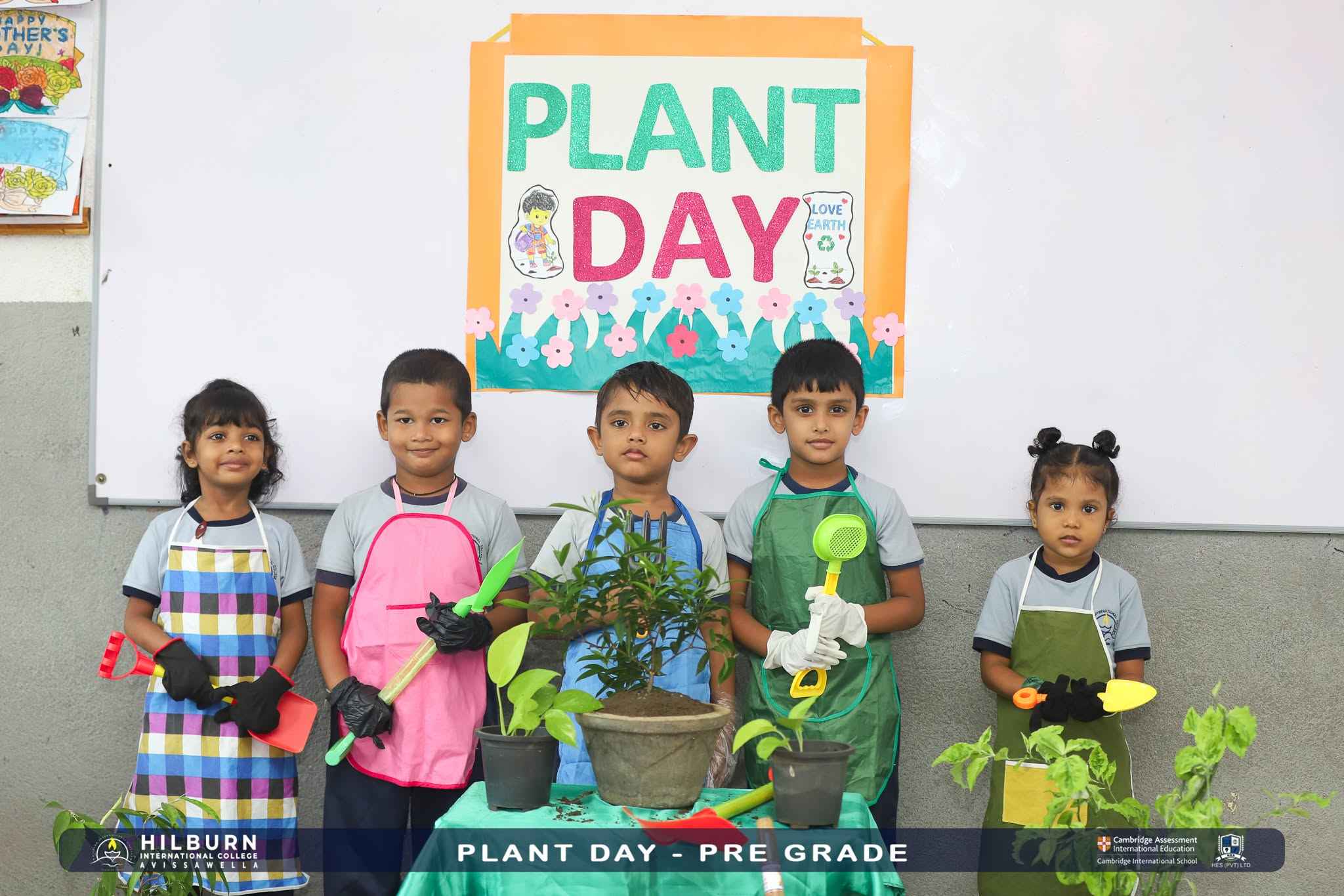 Plant Day –  Pre Grade