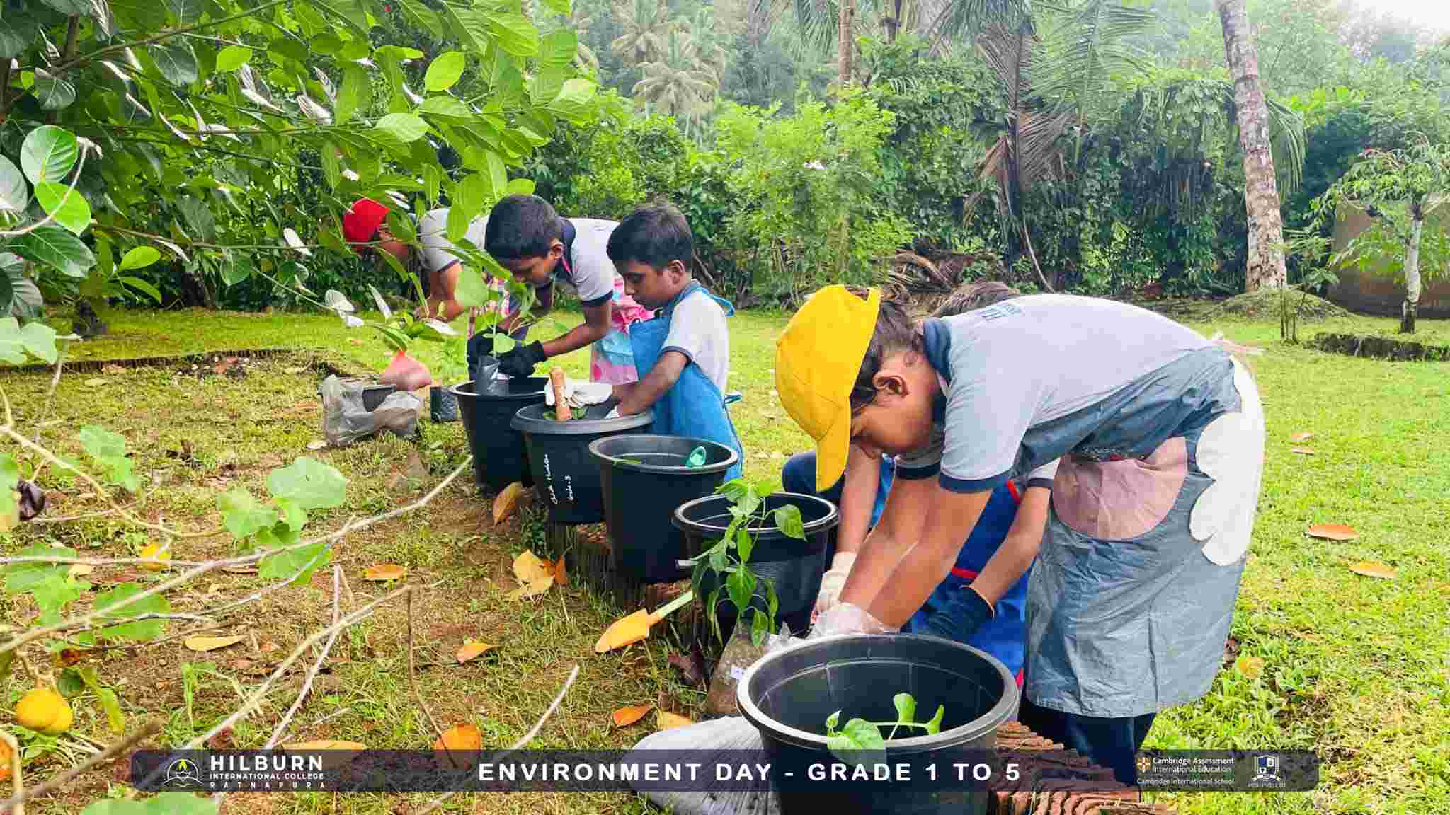 Environment Day – Grade 1 to 5
