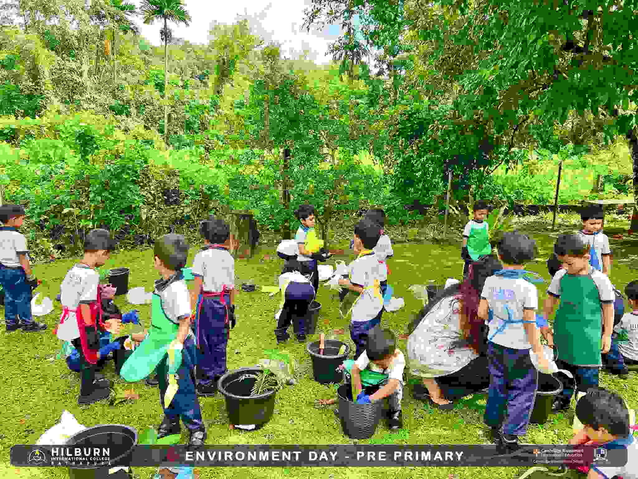 Environment Day – Pre Primary