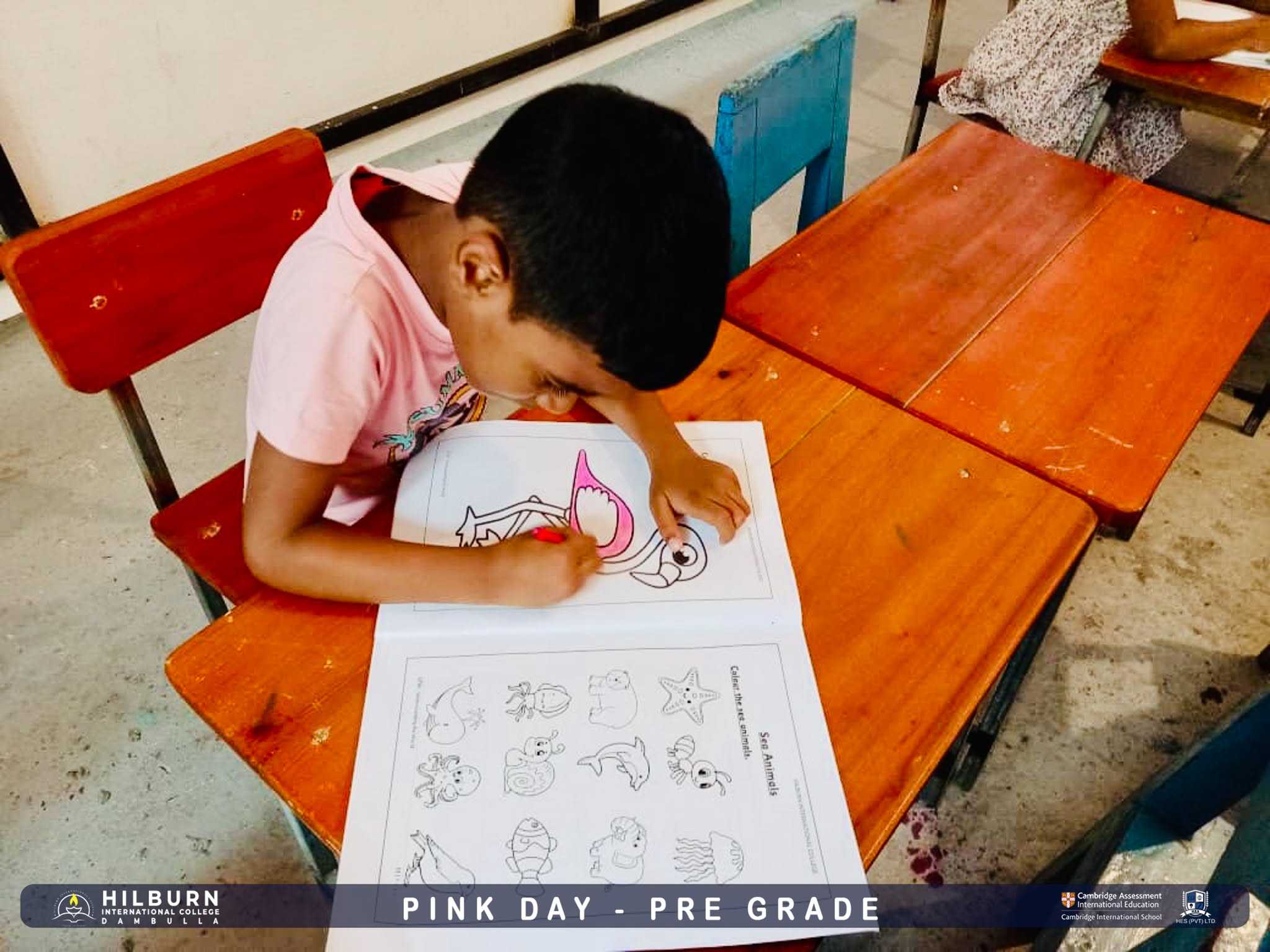 Pink Day Celebration – Pre Grade