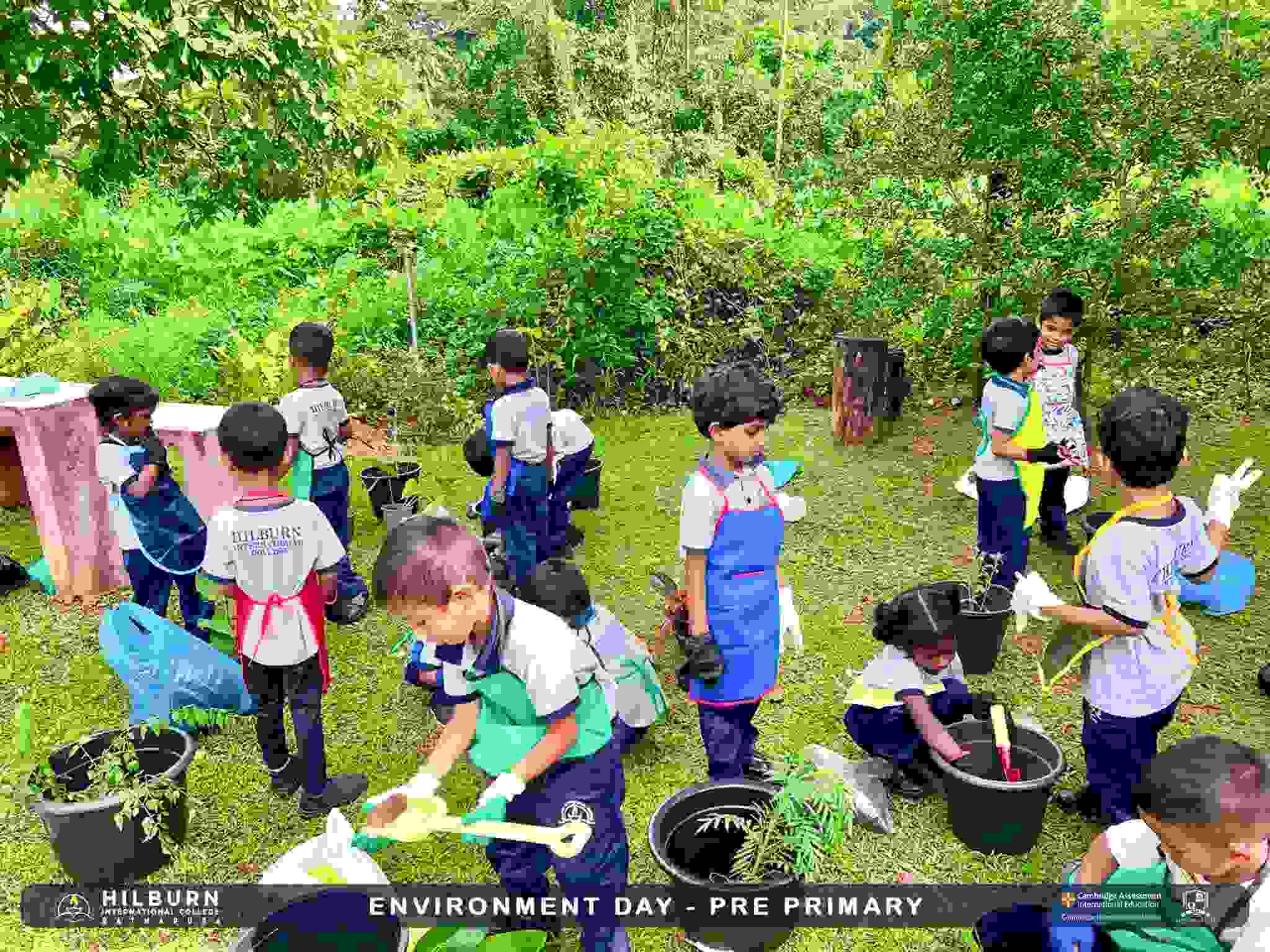Environment Day – Pre Primary