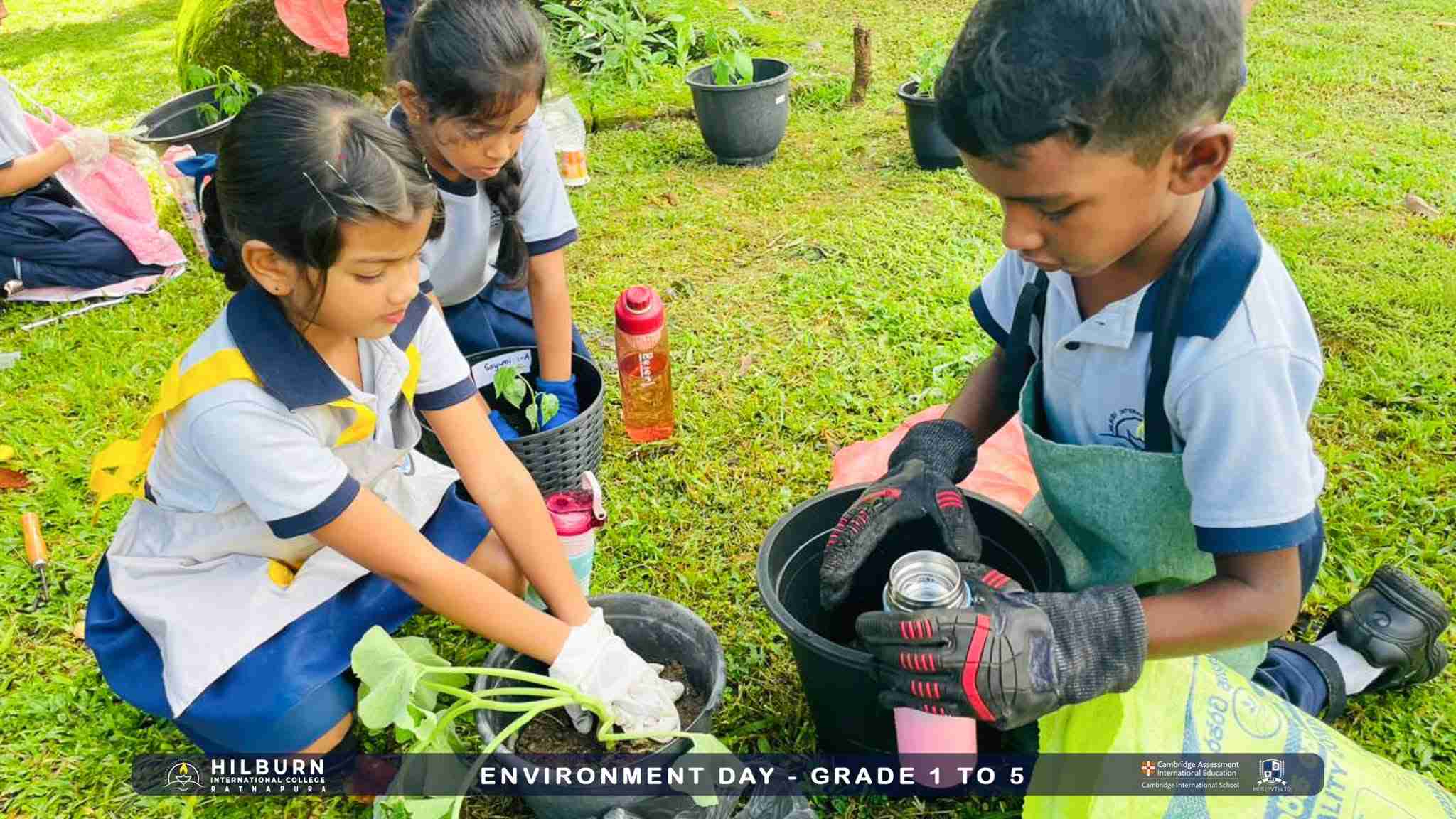 Environment Day – Grade 1 to 5