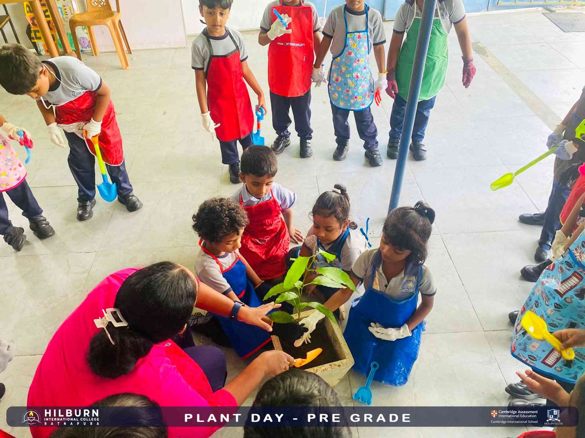 Plant Day –  Pre Grade
