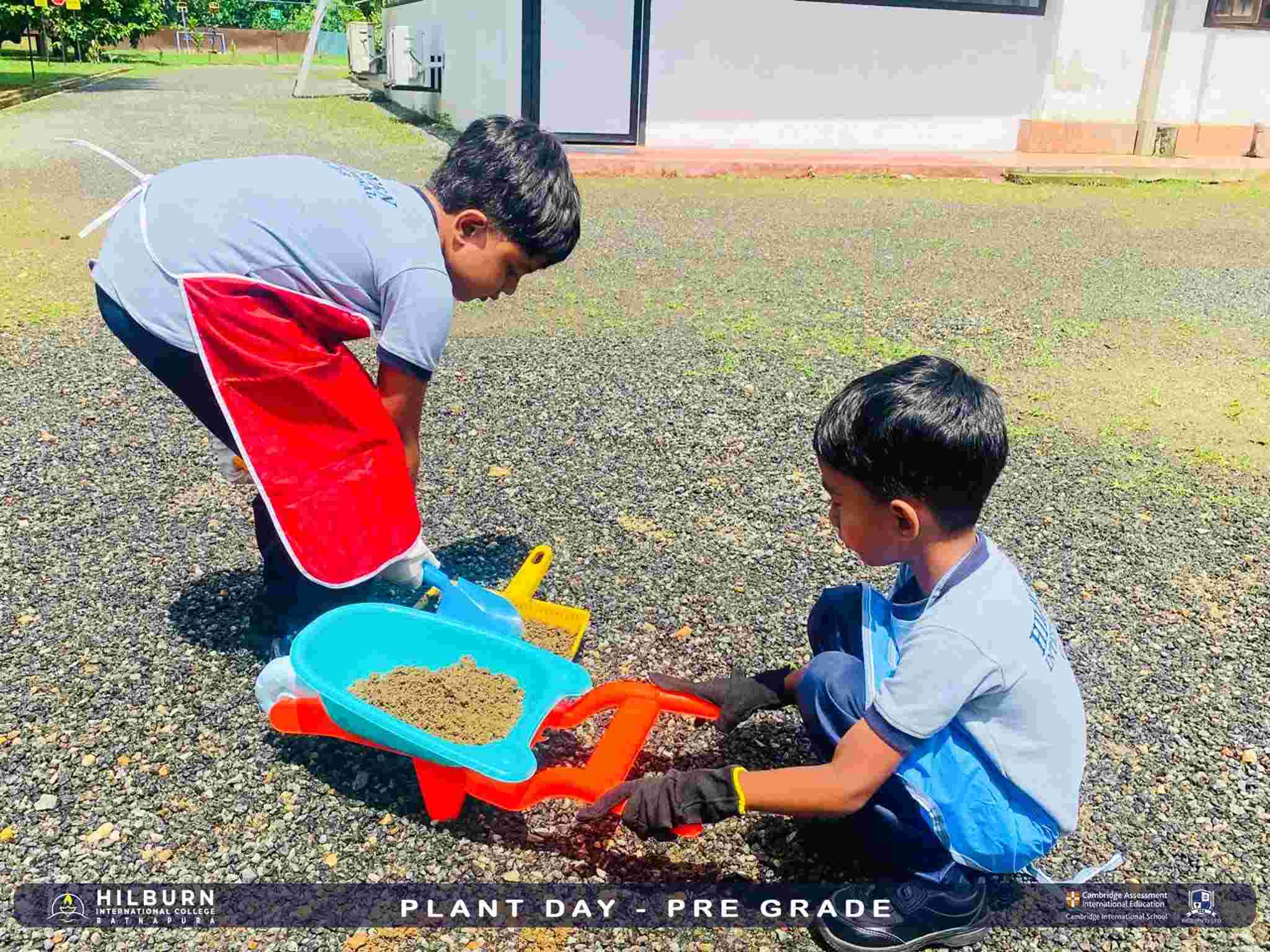 Plant Day –  Pre Grade