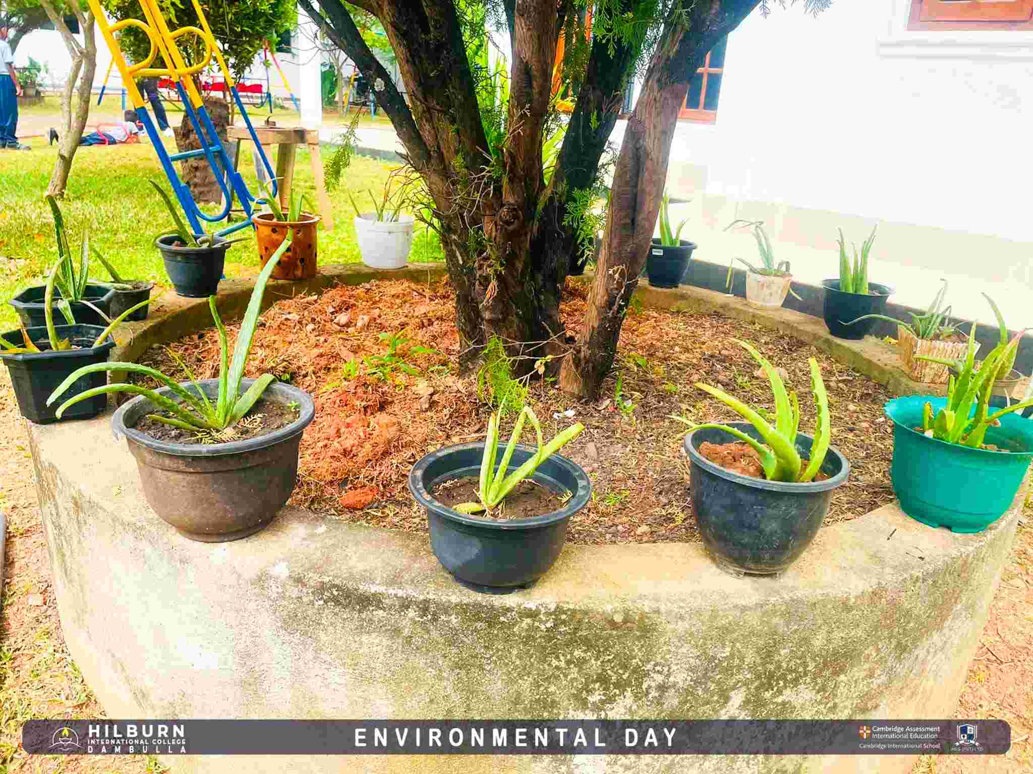 Environmental Day 2026