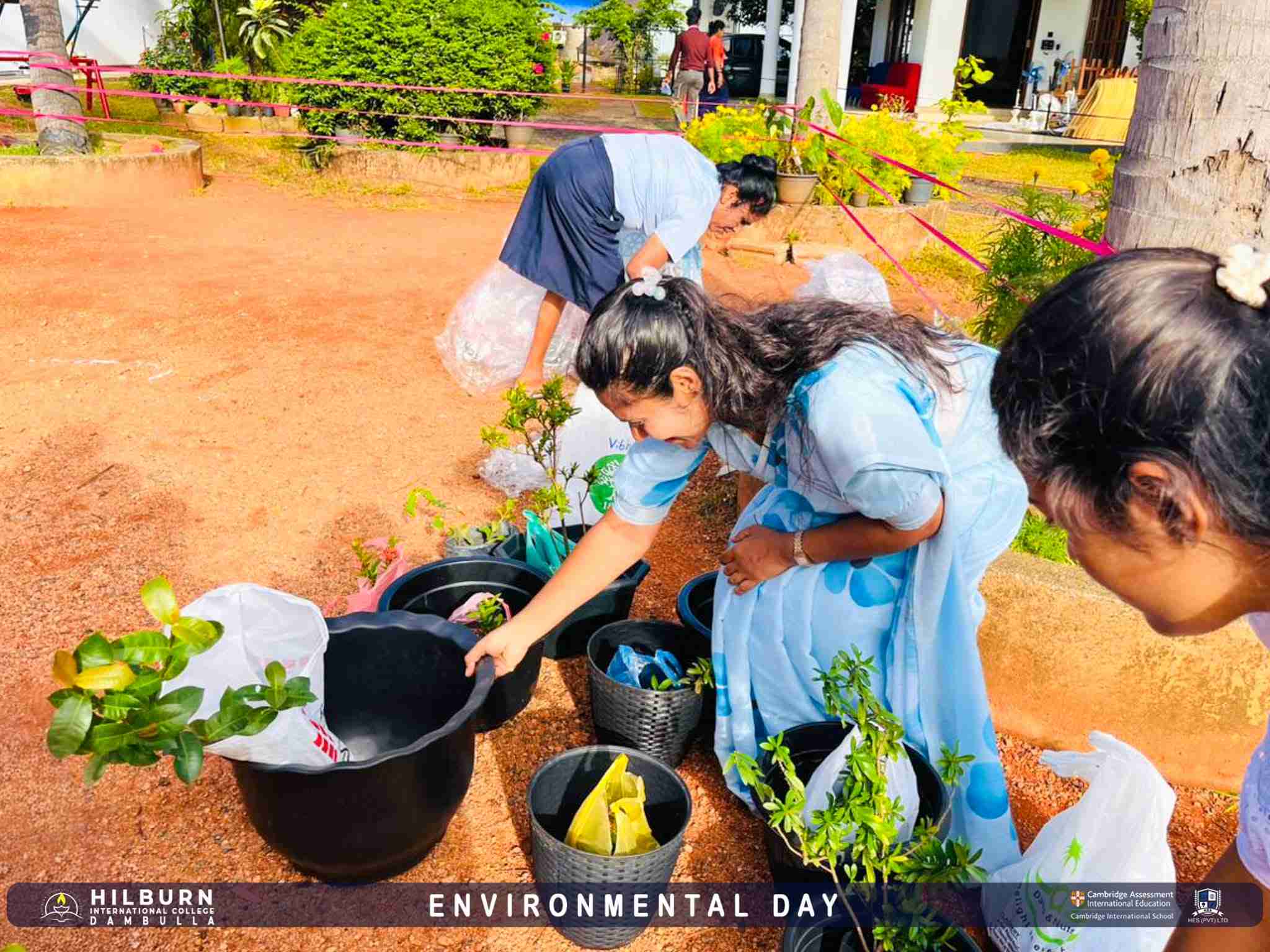 Environmental Day 2026