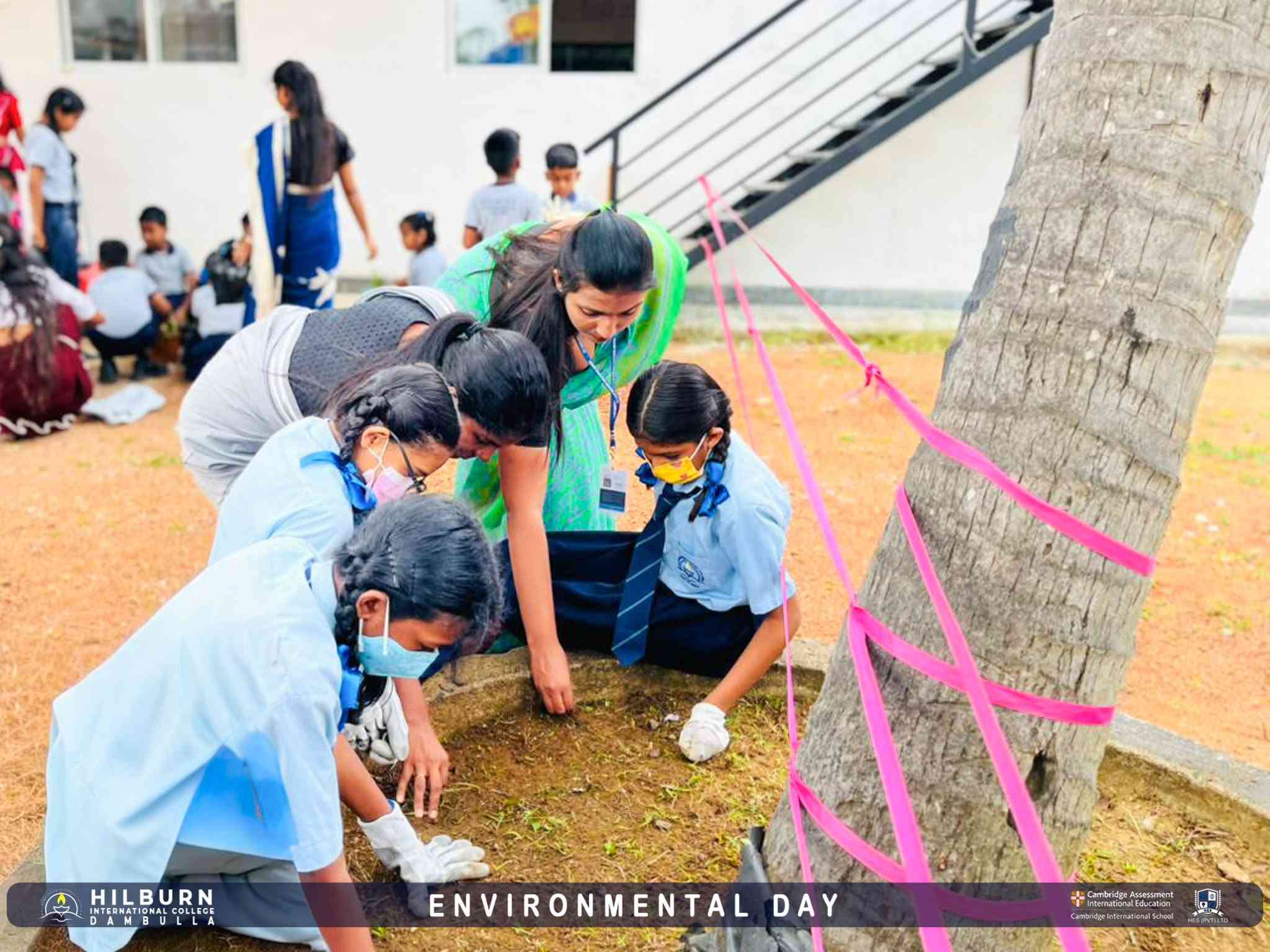 Environmental Day 2026