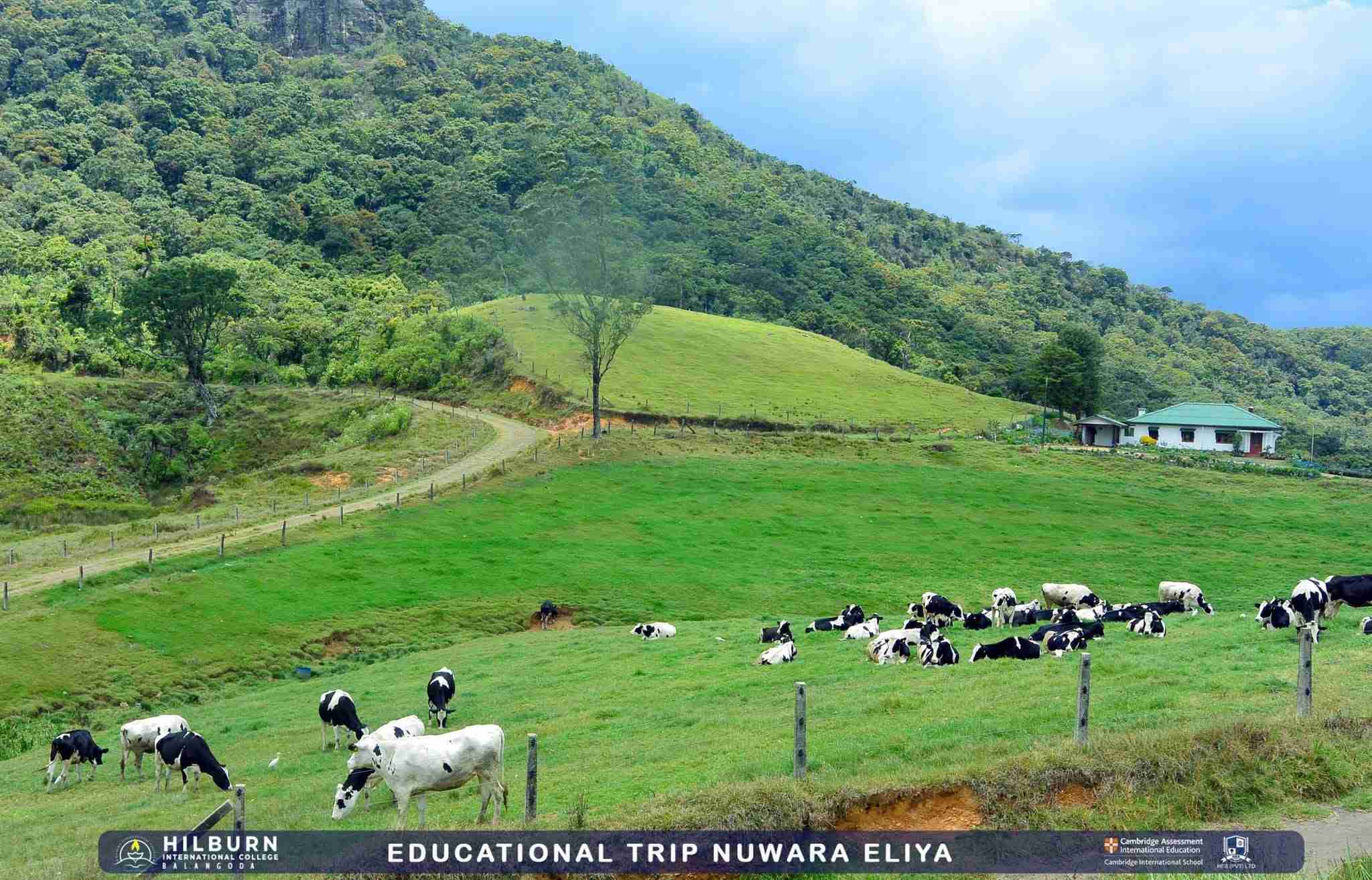 Educational Trip to Nuwara Eliya 2026